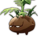 Fleur d'explosion