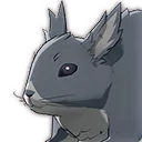 Écureuil