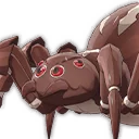 Araignée ouvrière brune