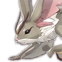 Wildes Flughörnchen