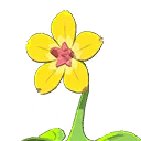 Gelbe Wanderblume
