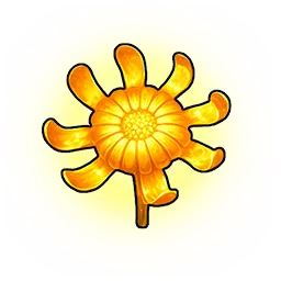 太阳花