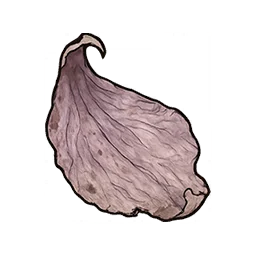 Pétales de fleur flétrie