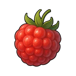Zephyr Raspberry