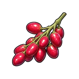 Jujube