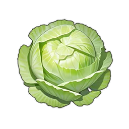 Cavolo