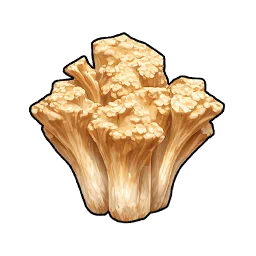 Clavaire chou-fleur