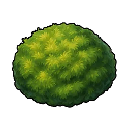 食用苔蘚