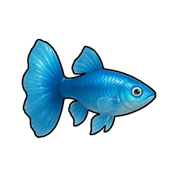 Guppy Kecil