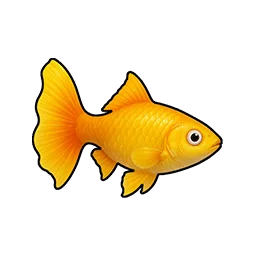 Amber Guppy