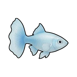 Sapphire Guppy