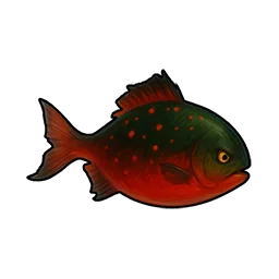 Cinder Crucian Carp