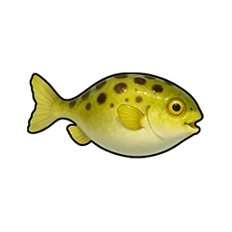 Wiggling Pufferfish