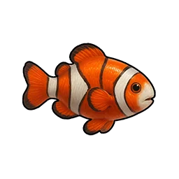 Dazed Anemone Fish