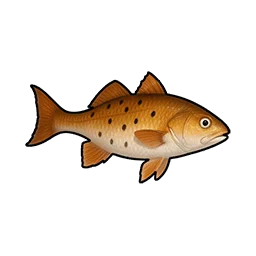 Ground Mullet