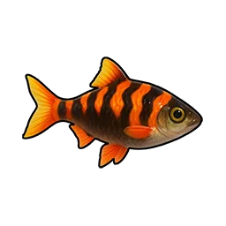 Sizzling Mullet