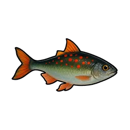 Blue-backed Mullet