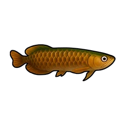 Moss Arowana