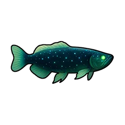 Night Sky Arowana