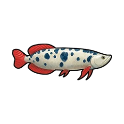Spotted Coelacanth
