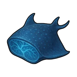 Viande de manta