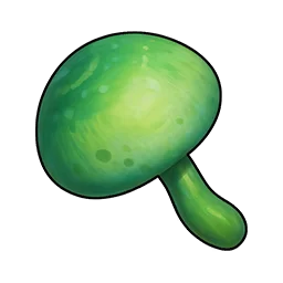 Champignon des fées