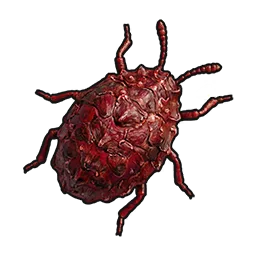 Insecte à écailles rouges