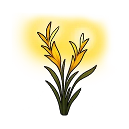 Roseauchaud