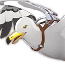懐いたカモメ