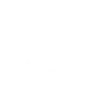 뇌류