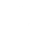 Король фей