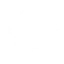 홀리 저지먼트