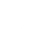 ライオン・ビーム