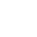 精霊の祝福：竜